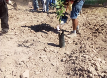 HUERTO JAVIER SEMILLITA